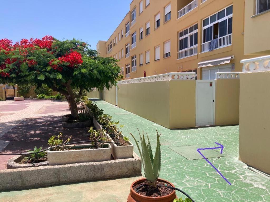Apartamento Lolo El Medano  Ngoại thất bức ảnh